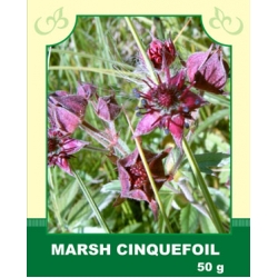 Marsh Cinquefoil